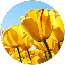 Maria Jose G. profile picture